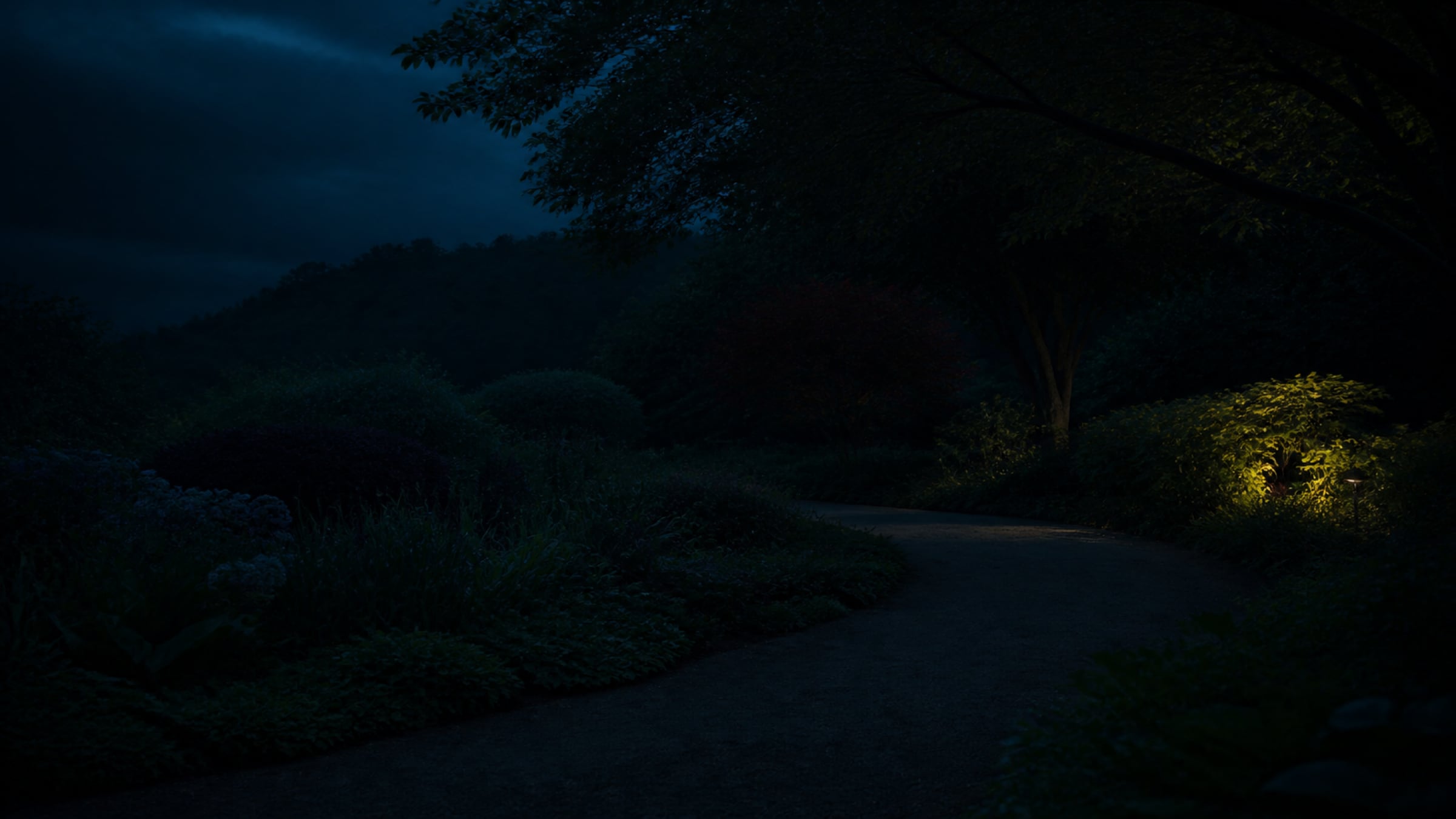 A gravel path curving through planted borders at dusk, with one low light picking out a shrub at the edge